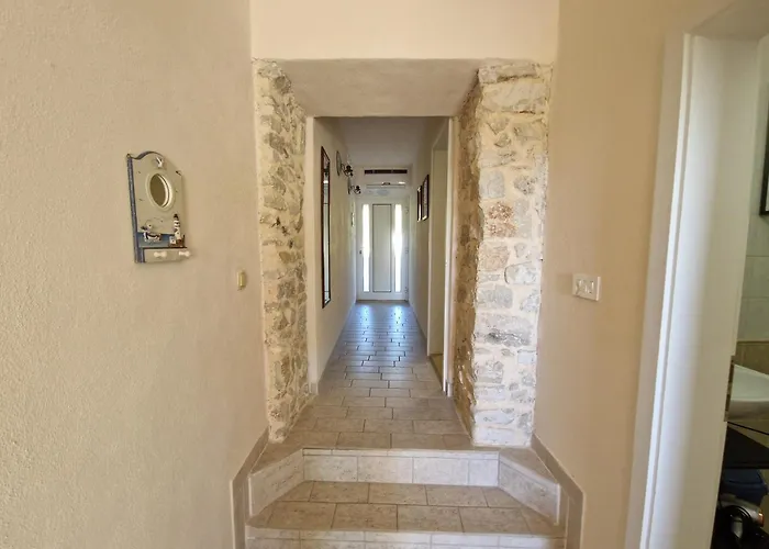 T&t 포레치